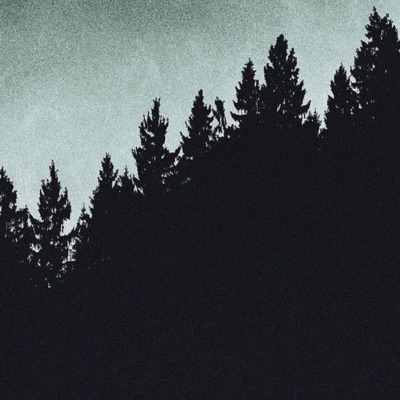 Fall In Romance - Single