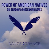 Power of American Natives (Dr. Shadow & Poezenkind Remix) artwork
