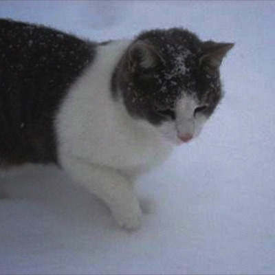 never die & KID SADNESS - Killing Stalking