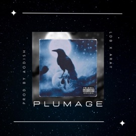 Plumage (feat. Aray) LDB