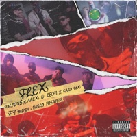 Flex (feat. Mdza & Pablo Infante) - Single - Polybiu$, Alex D Leon & Galo Mx