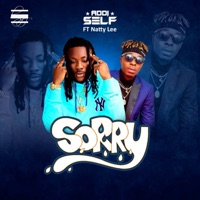 Sorry (feat. Natty Lee) - Single - Addi Self