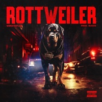 Rottweiler - Single - Carbo Square & WenzitoFlow