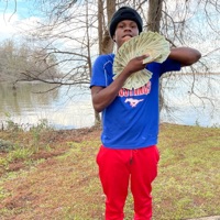 Motion - Single - Face1 Brazii