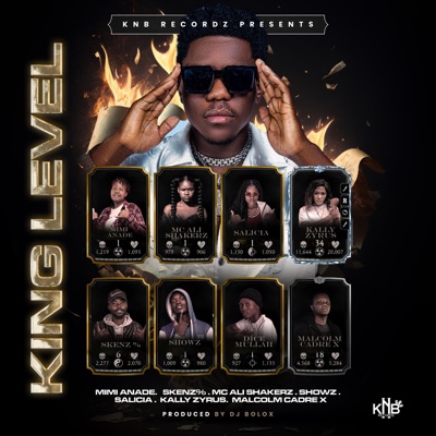 King Level 1 - Single