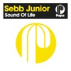 Sound of Life - Single