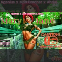 Mary Jane (feat. Ngenius, Abdul & Matt Gardner) - Single - Broz