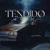 TENDIDO - Single