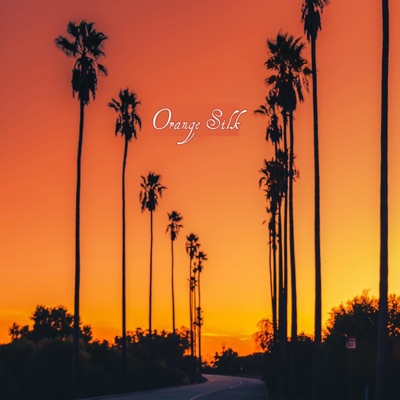 Orange Silk - Single
