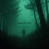 Haunted (Sped Up) - Single