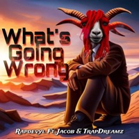 What's Going Wrong (feat. Jacob Da Don & TrapDreamz) - Single - RapDeVyL
