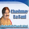 Chashmay Da Pani - Single