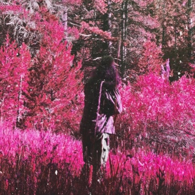 Rosebud