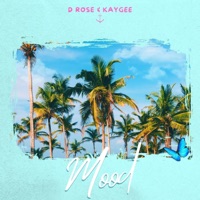 Mood (feat. Kaygee) - Single - D Rose