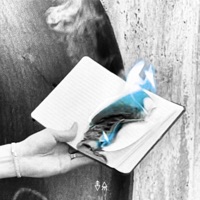 Teenage Alchemy: The Alchemist's Mix - gemini