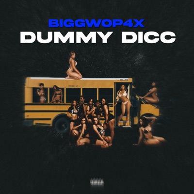 Dummy Dicc - Single