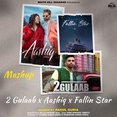 2 Gulaab x Aashiq x Fallin Star (Mashup) [Mashup] - Single