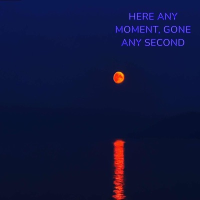 HERE ANY MOMENT, GONE ANY SECOND