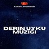 Rahatlatıcı Müzik