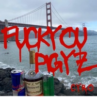 F**k You Pigyz - Single - CYRO