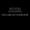 You Are My Sunshine - Jamey Johnson, Twiggy Ramirez & Shooter Jennings lyrics