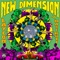 New Dimension (feat. Made Kuti) artwork