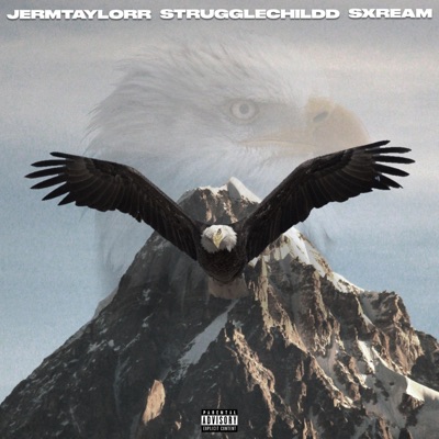 Comin To See You (feat. Strugglechildd) - Single