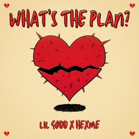 What's the Plan? Lil Godd & hexme