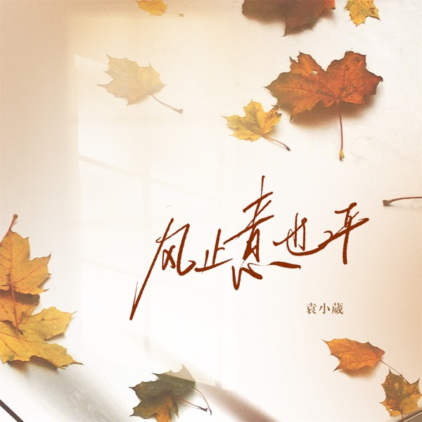 风止意也平 - Single