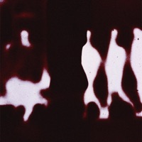 Maagia - Single - Tops & ÄKTIVE!