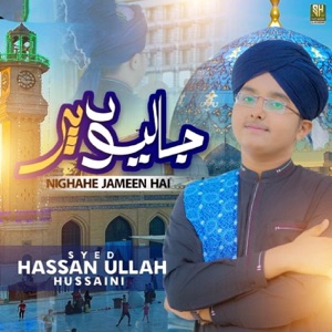 Jalion Par Nighahe Jameen Hai