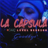 GOODBYE - Single - Ailin Wetzel