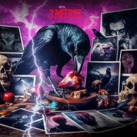 3 metros - Single - Keys