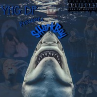 SharkBoy - EP - yHg DF