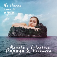 No Llores Como el Agua - Single - Mamita Papaya & Colectivo Panamera