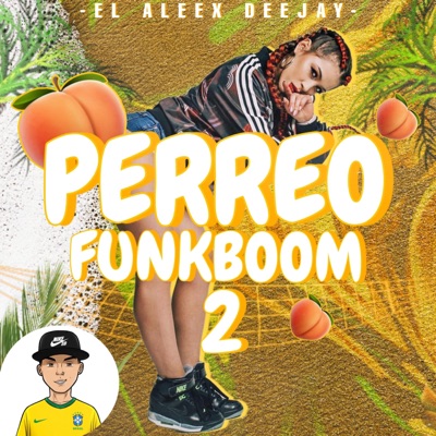 PERREO FUNKBOOM 2 (FUNK RKT) - Single