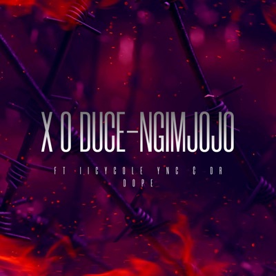 NGIMJOJO (feat. Icycole YNC & Dr Dope) - Single