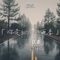 你走之后的雨季 (0.8降速版) - Single - CR3.