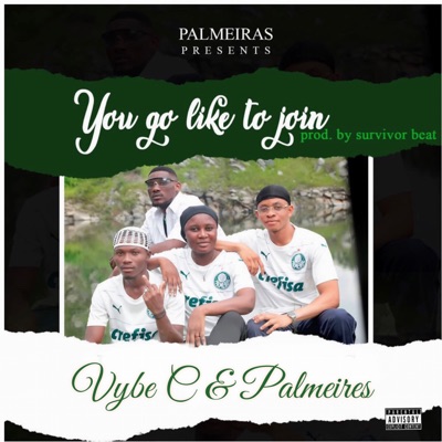 You Go Like To Join (feat. Vybe C) - Single