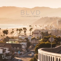 Blvd. (feat. Førbes) - Single - YNØT