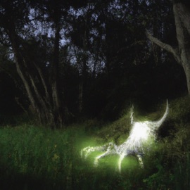 claws (feat. wishlane) Kurtis