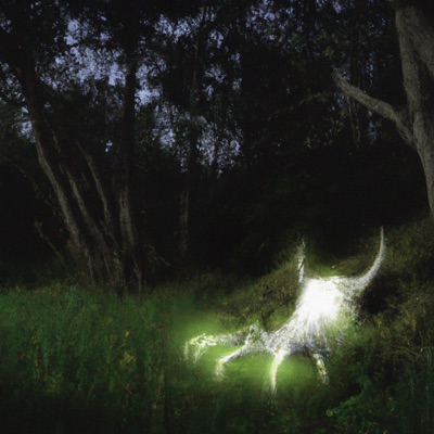 claws (feat. wishlane) - Single