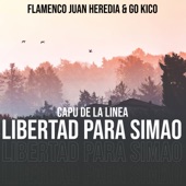 Libertad para Simao artwork