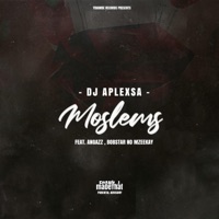Moslems (feat. AngaZz & Bobstar No Mzeekay) - Single - Dj Aplex