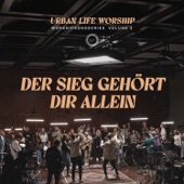 Der Sieg gehört dir allein – Worshipsongseries, Vol. 2 artwork