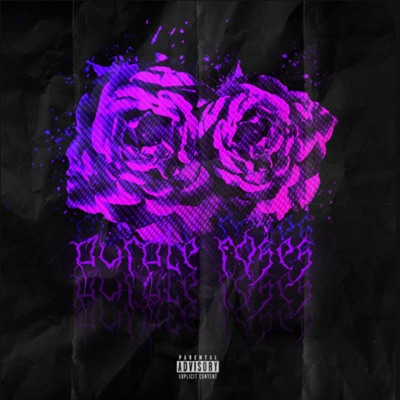 Purple Rose - Single