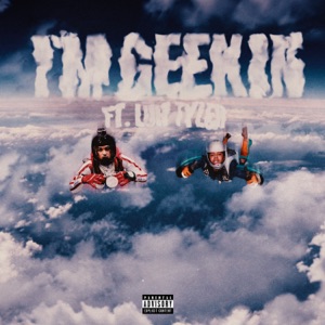 I'm Geekin (feat. Luh Tyler)