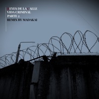 Vida Criminal, Pt. 2 [Madakai Remix] - Single - Reyes de la Calle