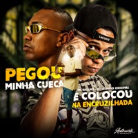 Pegou Minha Cueca e Colocou na Encruzilhada - Single - DJ VITINHO ORIGINAL & Mc Baiano