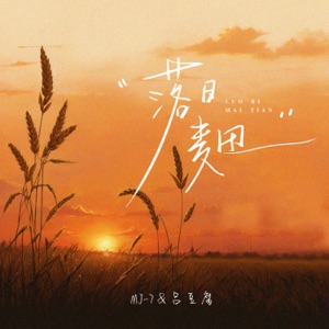 落日麦田 - Single